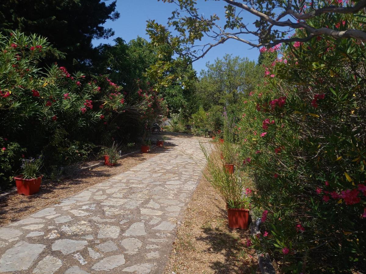 Un Avant Gout Du Nirvana Canet  Exteriér fotografie